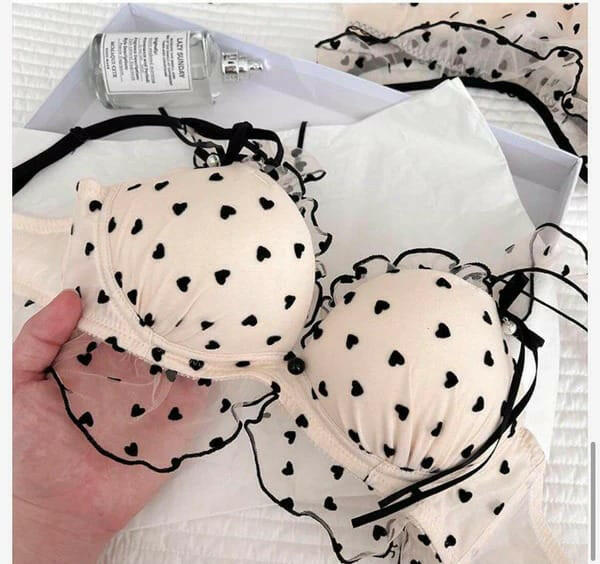 Embroidered Bra with Cute Lace Panty Set