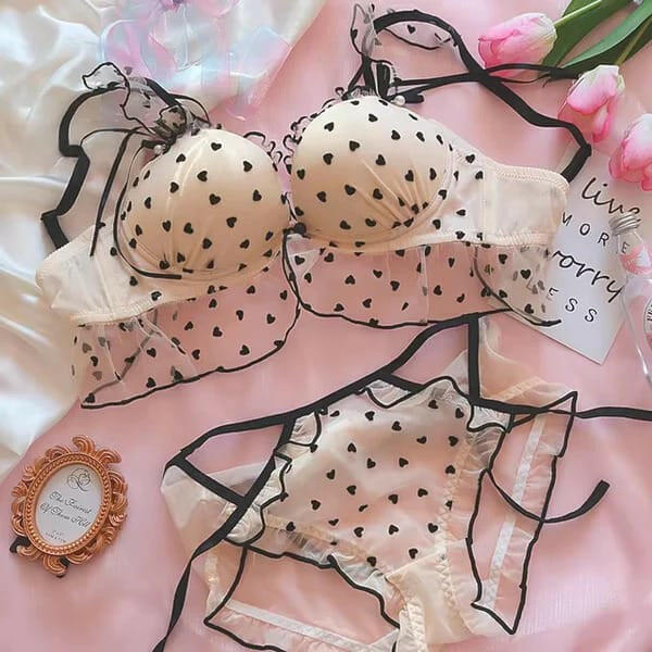 Embroidered Bra with Cute Lace Panty Set