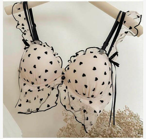Embroidered Bra with Cute Lace Panty Set